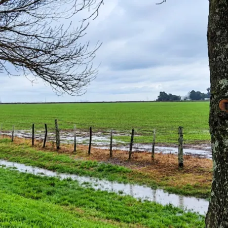 Vaccarezza rechazó la Ley que permite destinar fondos del campo a obras hídricas