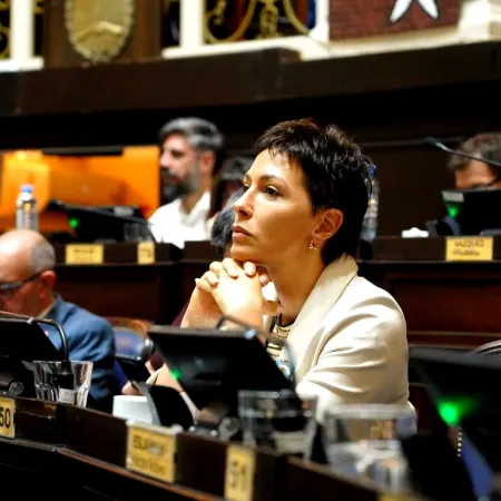 Más guerra: Mayra Mendoza explotó contra el tarifazo de Kicillof a la luz