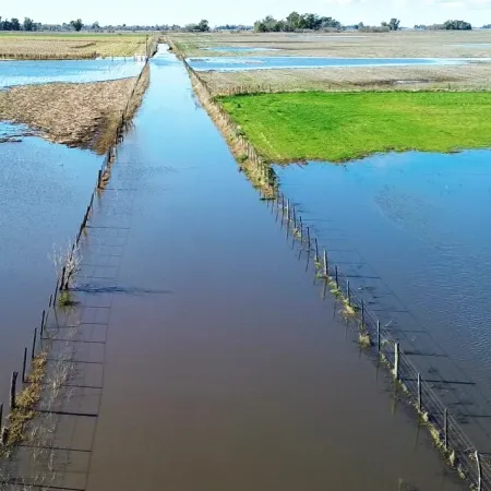Por las inundaciones, declararon emergencia agropecuaria en 9 de Julio y en parte de Necochea